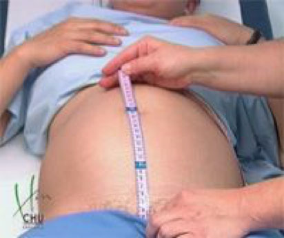 mesure du ventre à la grossesse